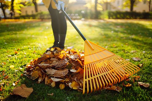 Leaf & Brush Pickup