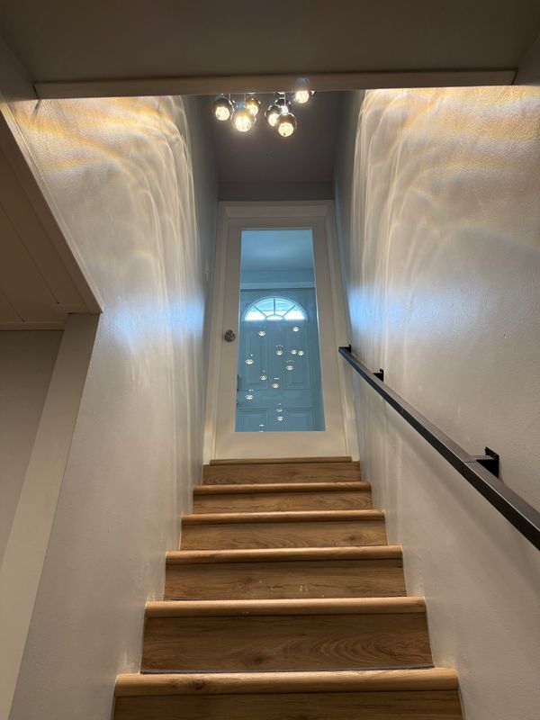 Basement Renovation