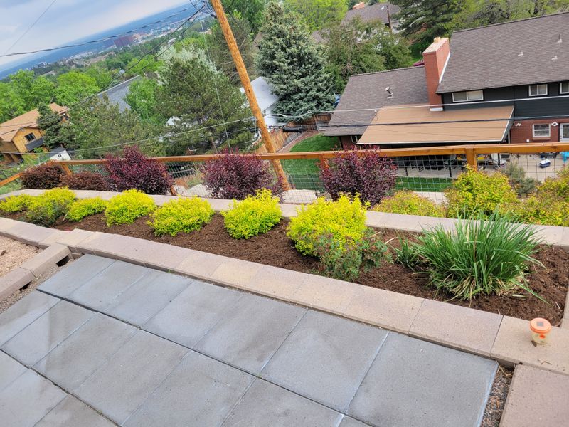 Mulch Installation