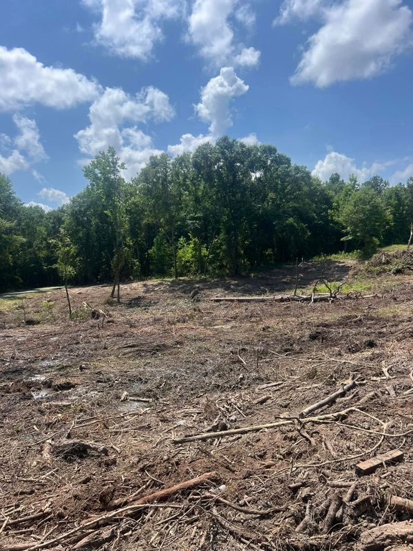 Forestry Mulching