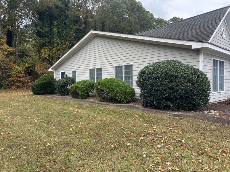 Shrub & Plant Trimming 