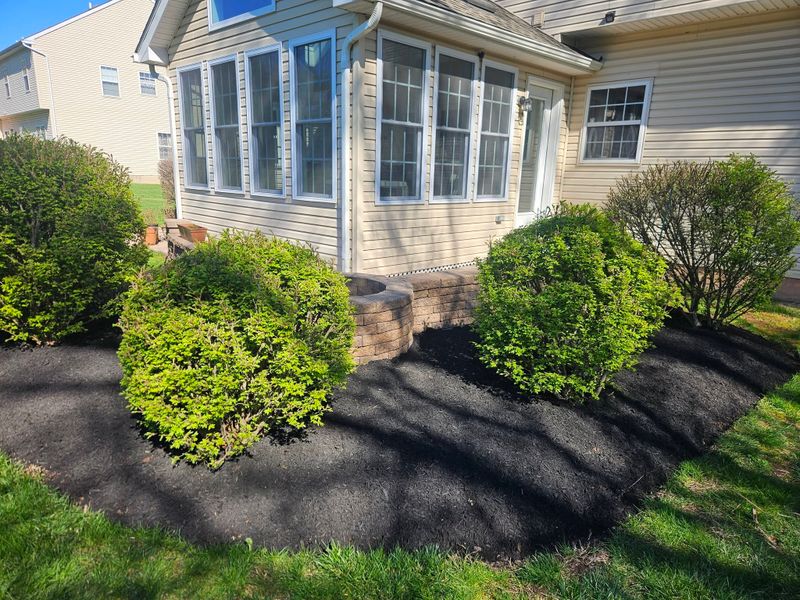Tree & Shrub Care