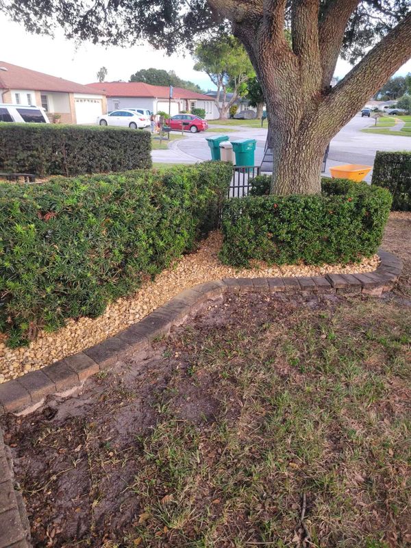 Lawn & Garden Services