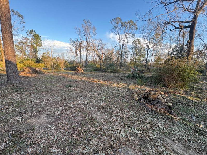 Tree Removal