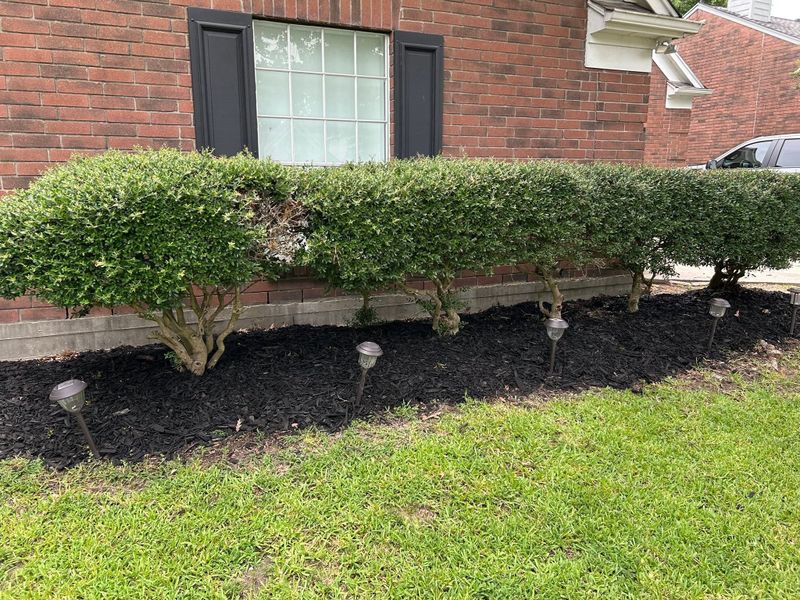 Garden Design