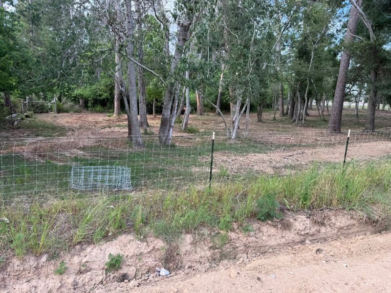 Land Clearing