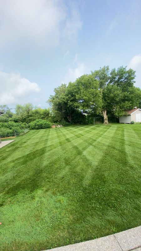 Lawn Mowing