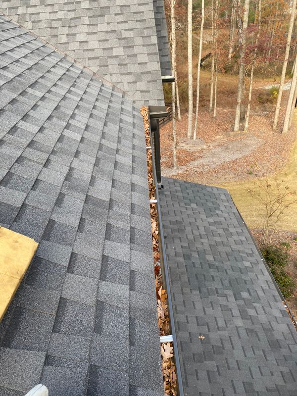 Gutter Cleaning
