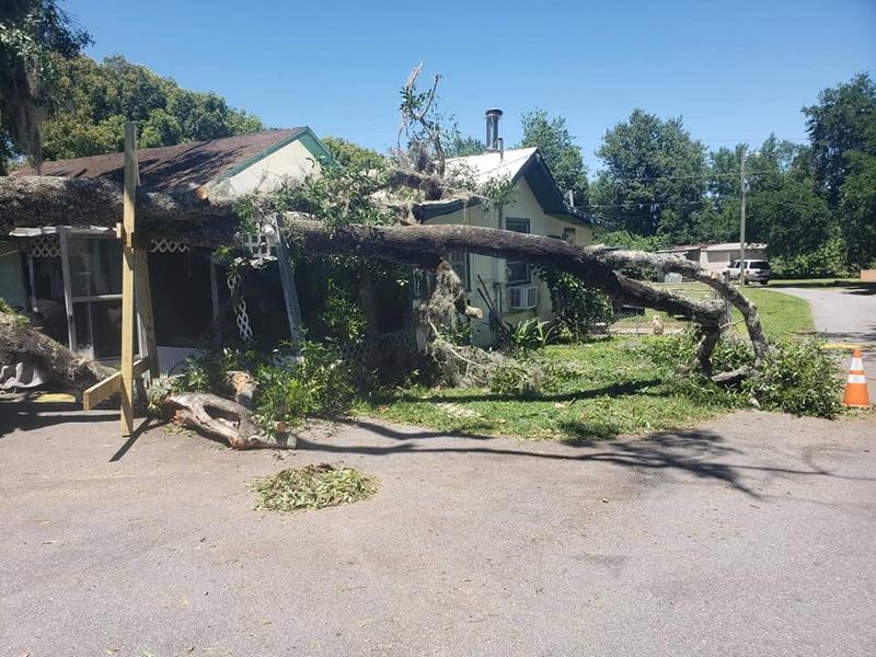 Emergency Tree Services
