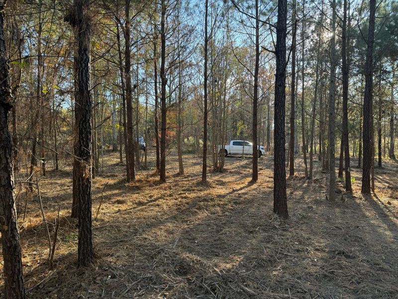 Land Clearing & Demolition