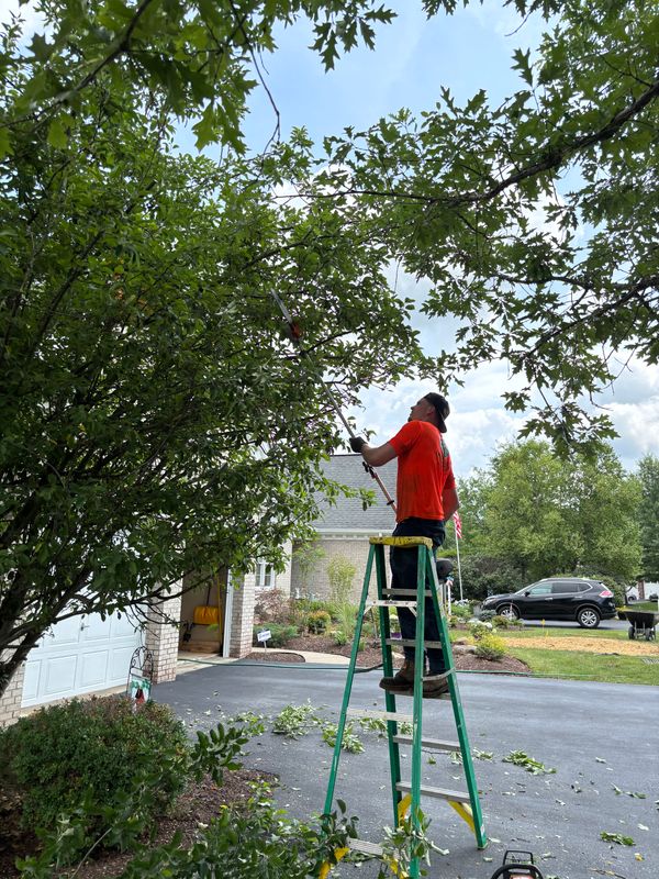Landscaping