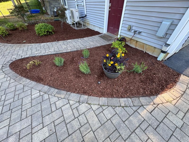 Garden Designs