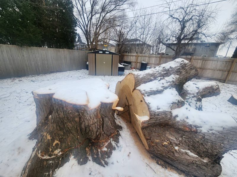 Stump Removal