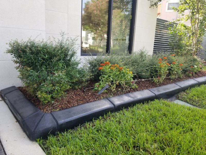 Landscape Border Systems