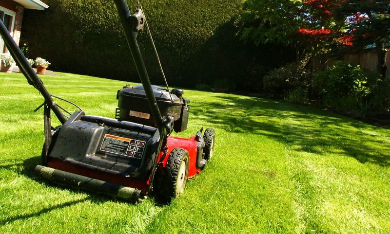 Mowing