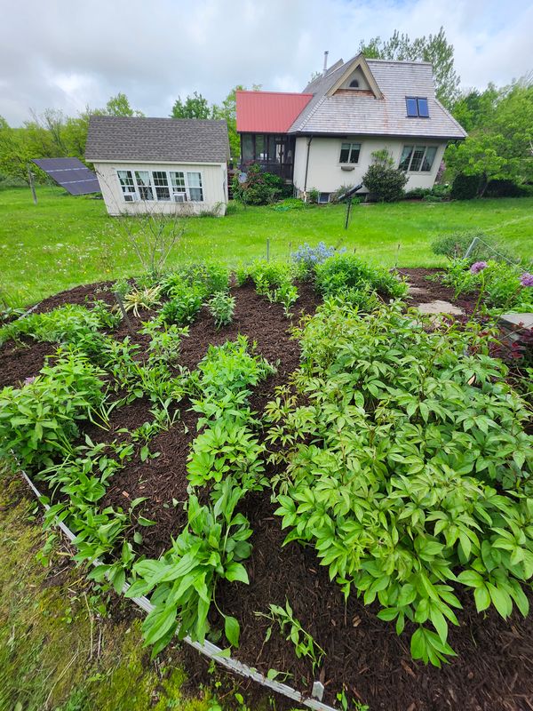 Muclhing & Weeding