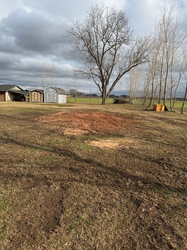 Land Clearing