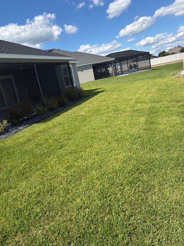 Lawn Maintenance