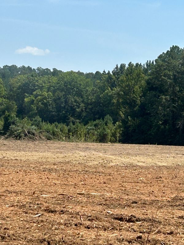 Land Clearing