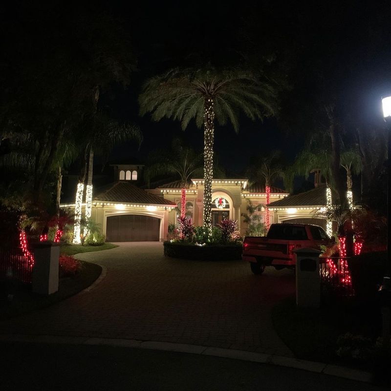 Christmas Light Installation