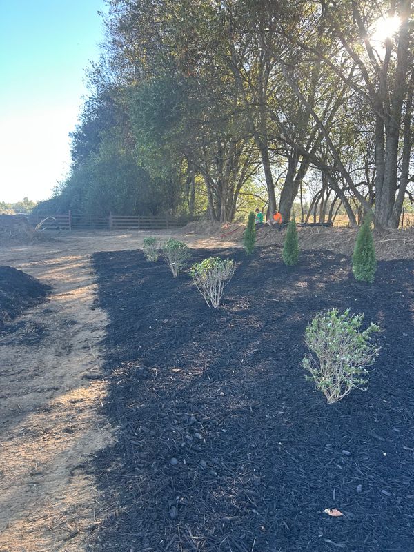 Land Grading