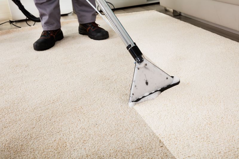 Floor & Carpet Maintenance