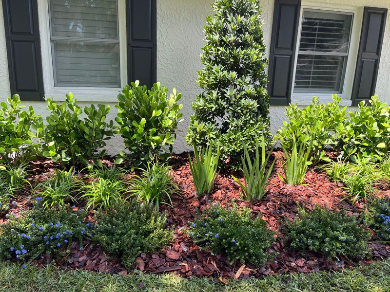 Landscape Design and Installation