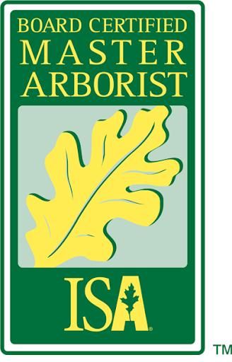 Tree Risk Consultation