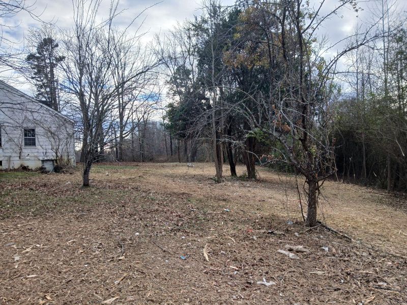 Land Clearing