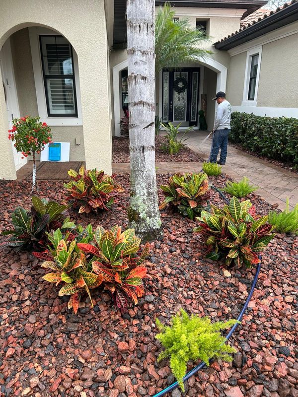 Landscape Design and Installation