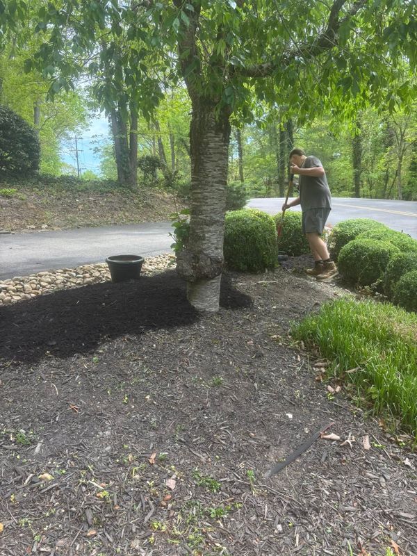 Plant & Shrub Installations