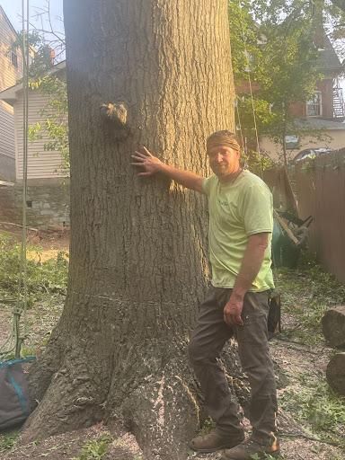 Tree Removal