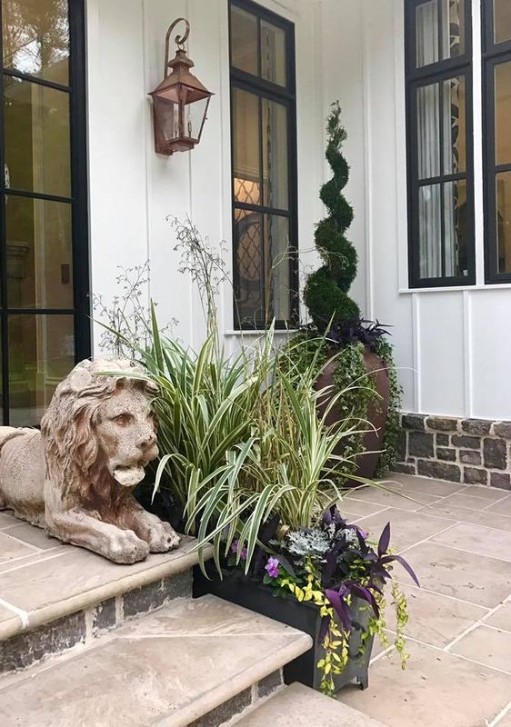 Shrub Trimming