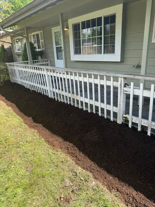 Shrub Trimming