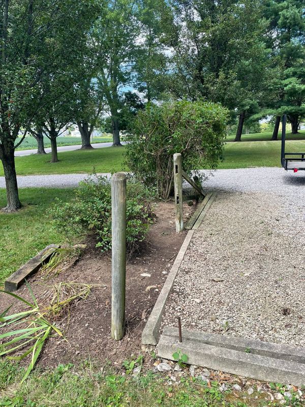 Tree & Shrub Care