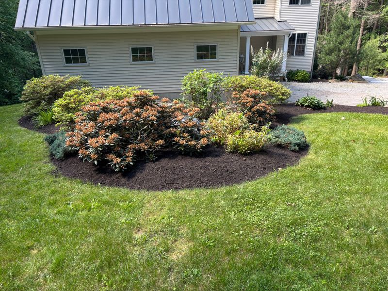 Mulch Installation