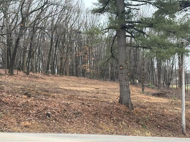 Transformative Lot Clearing in Marshal Township: A JJ Tree Service Milestone
