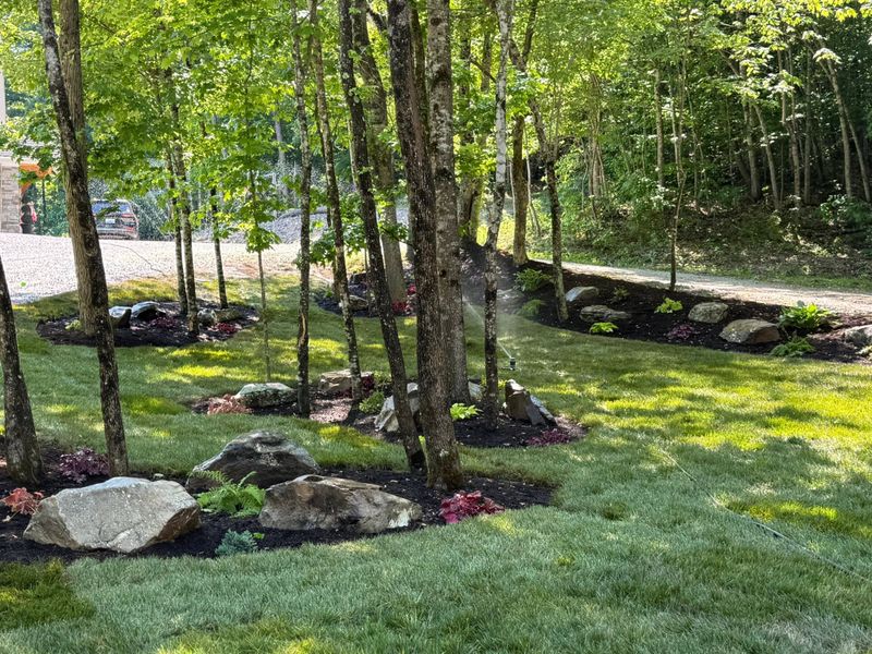 Landscape Design