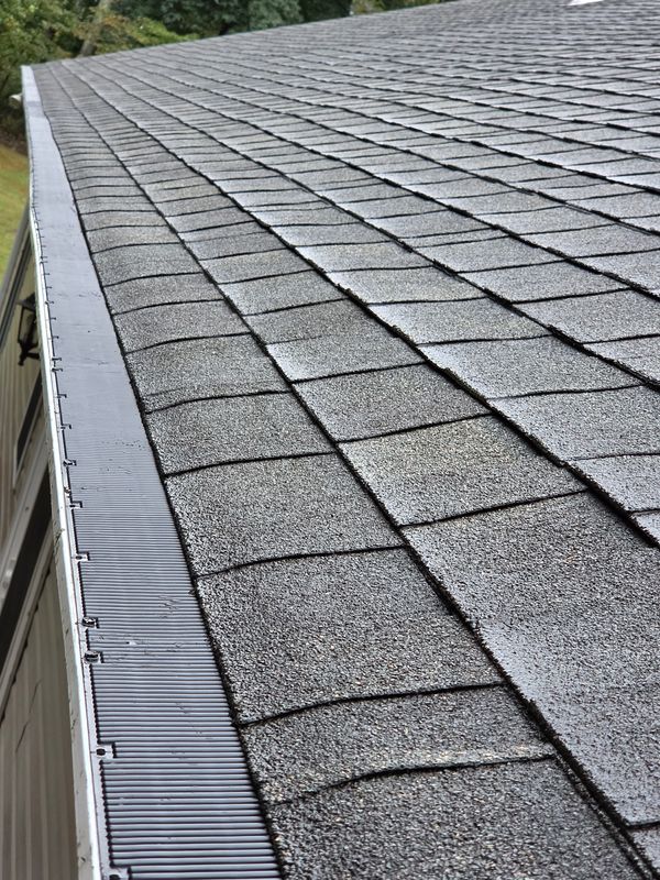 Gutter Clean/Gutter Guards