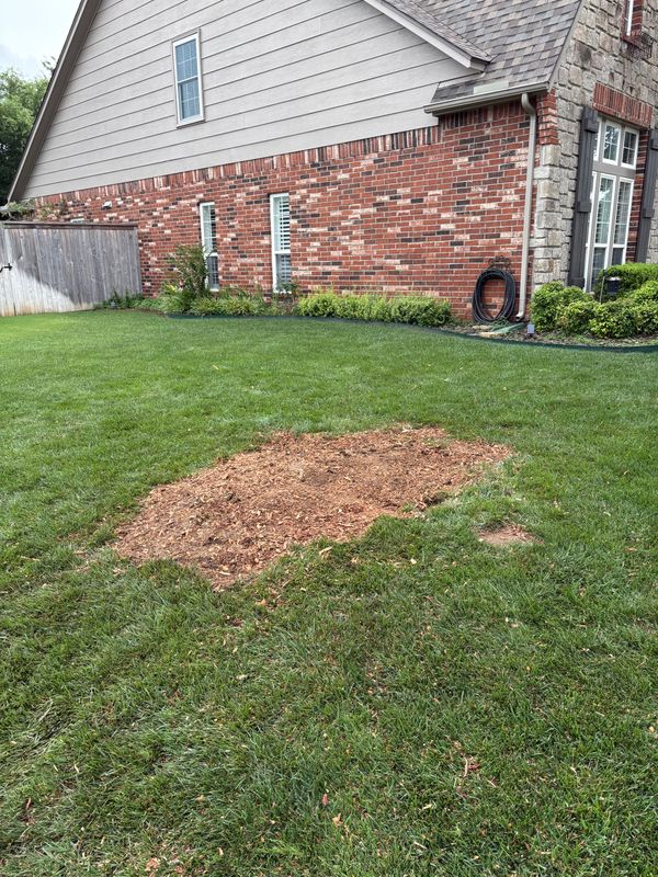 Stump Removal