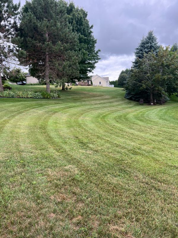 Mowing