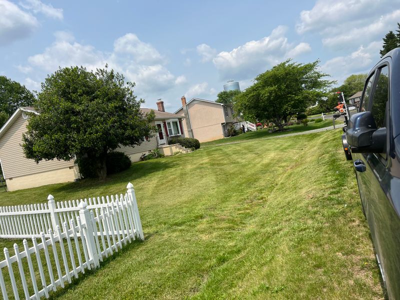 Shrub Trimming