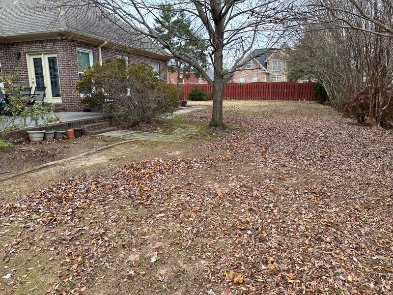 Leaf clean up