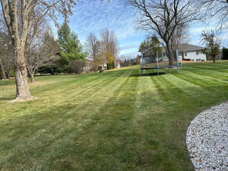 Lawn Maintenance