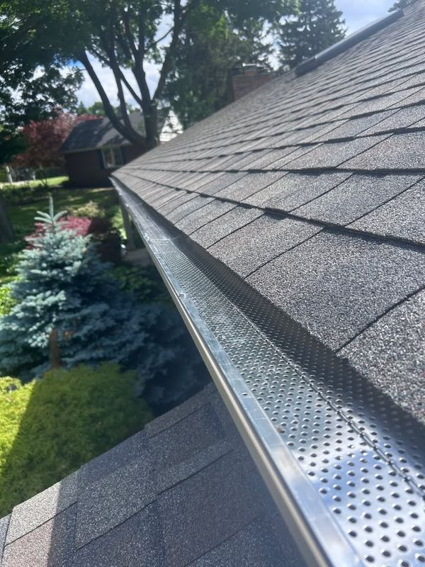 Gutter Cleaning