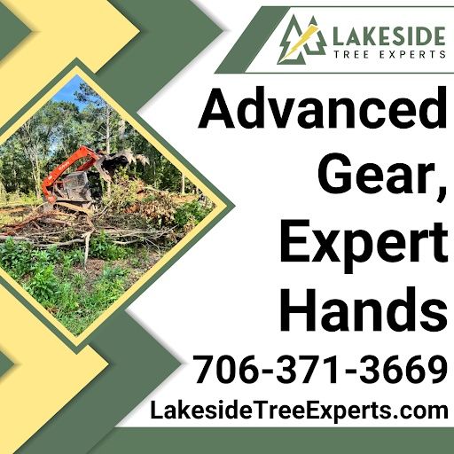 Land Clearing