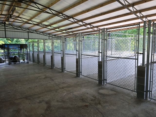 Secure and Stylish: Enhanced Kennel Fencing Project in Alpine, AL