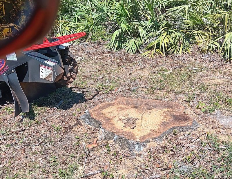Tree Trimming