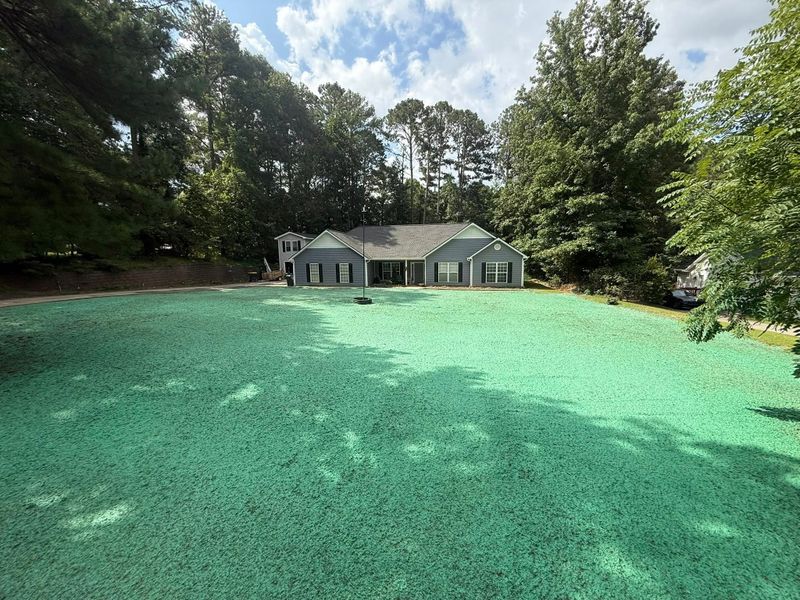 Hydroseeding gallery