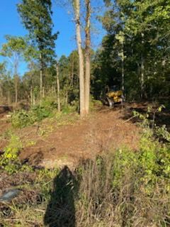 Tree Trimming & Removal